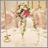 sample picture