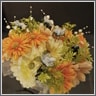 sample picture