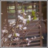 sample picture